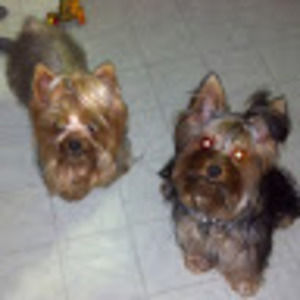 Meet your Posher, Heidi